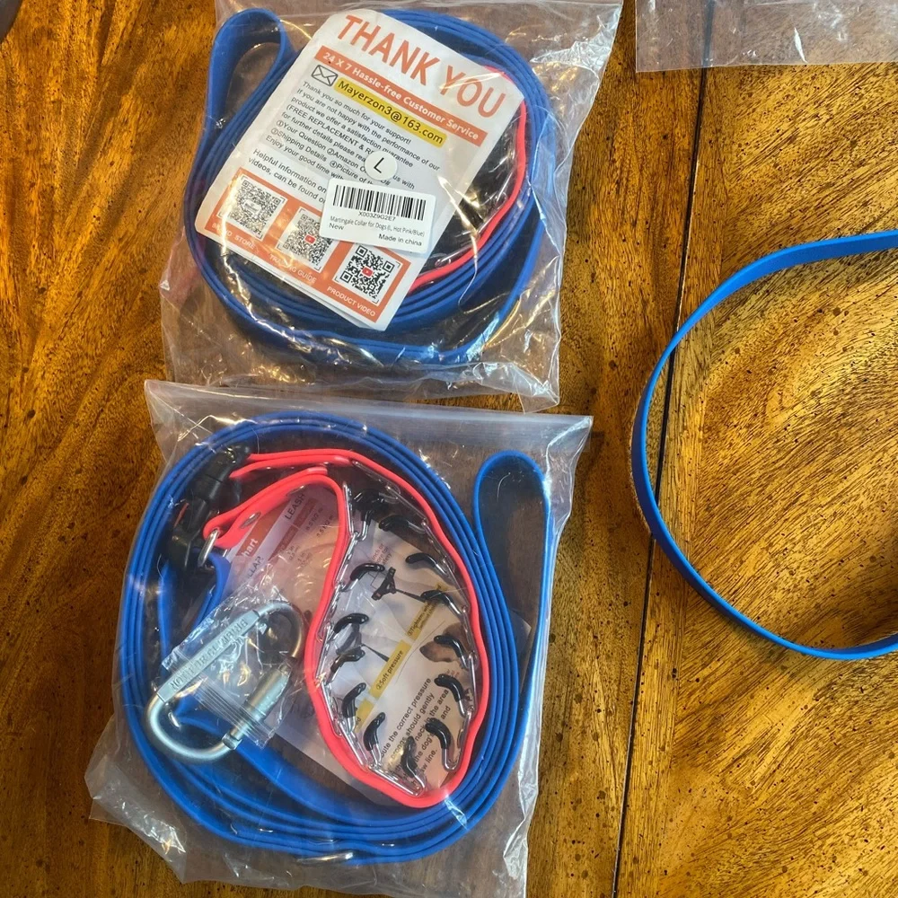Prong Training Collar with attached leash
